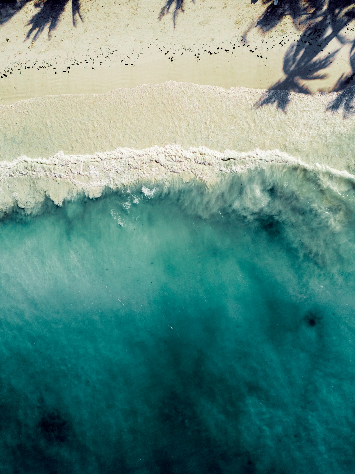 Kwale & Michamvi Beach Day Trip