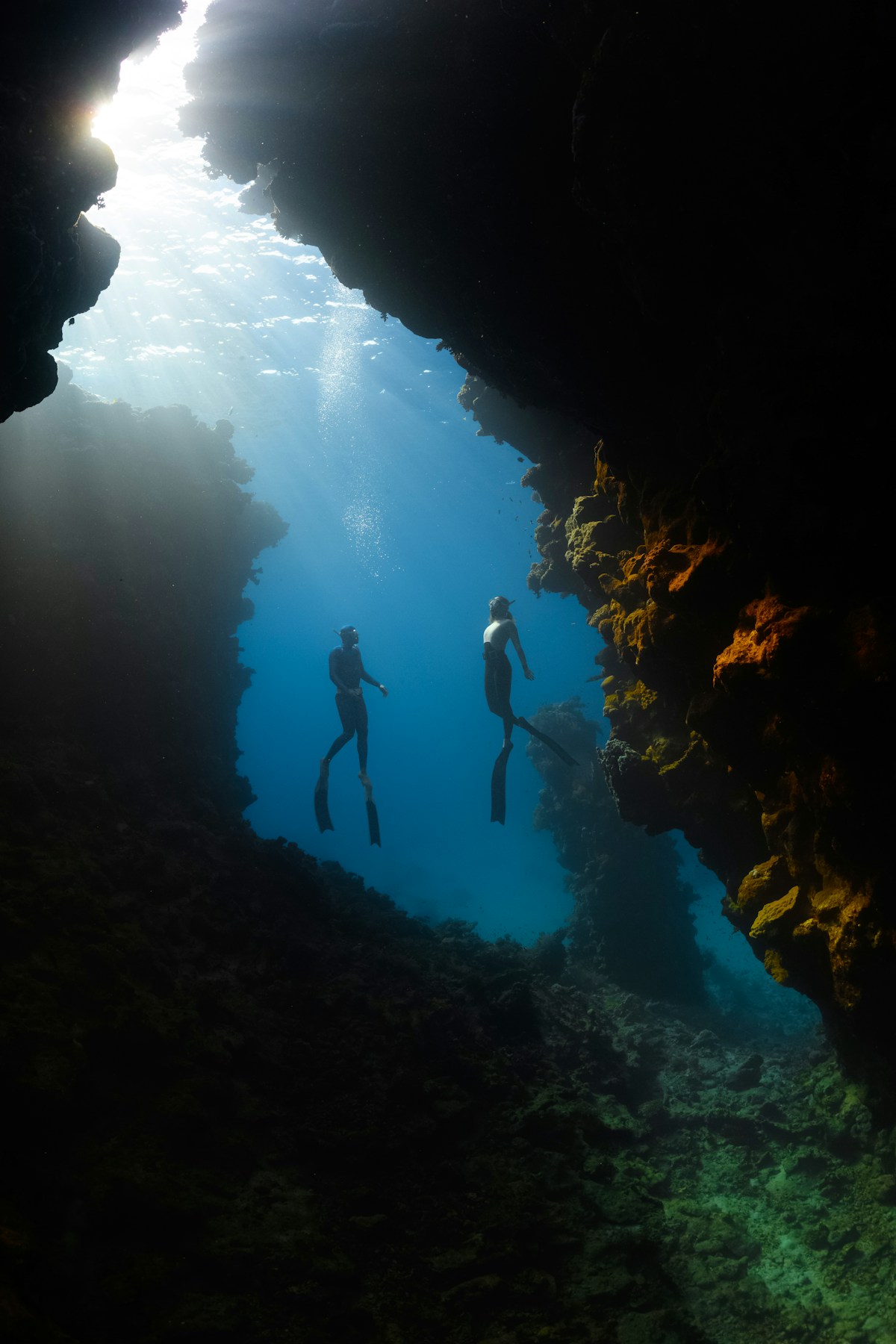 Kuza Cave, Salaam Cave & Jozani Forest