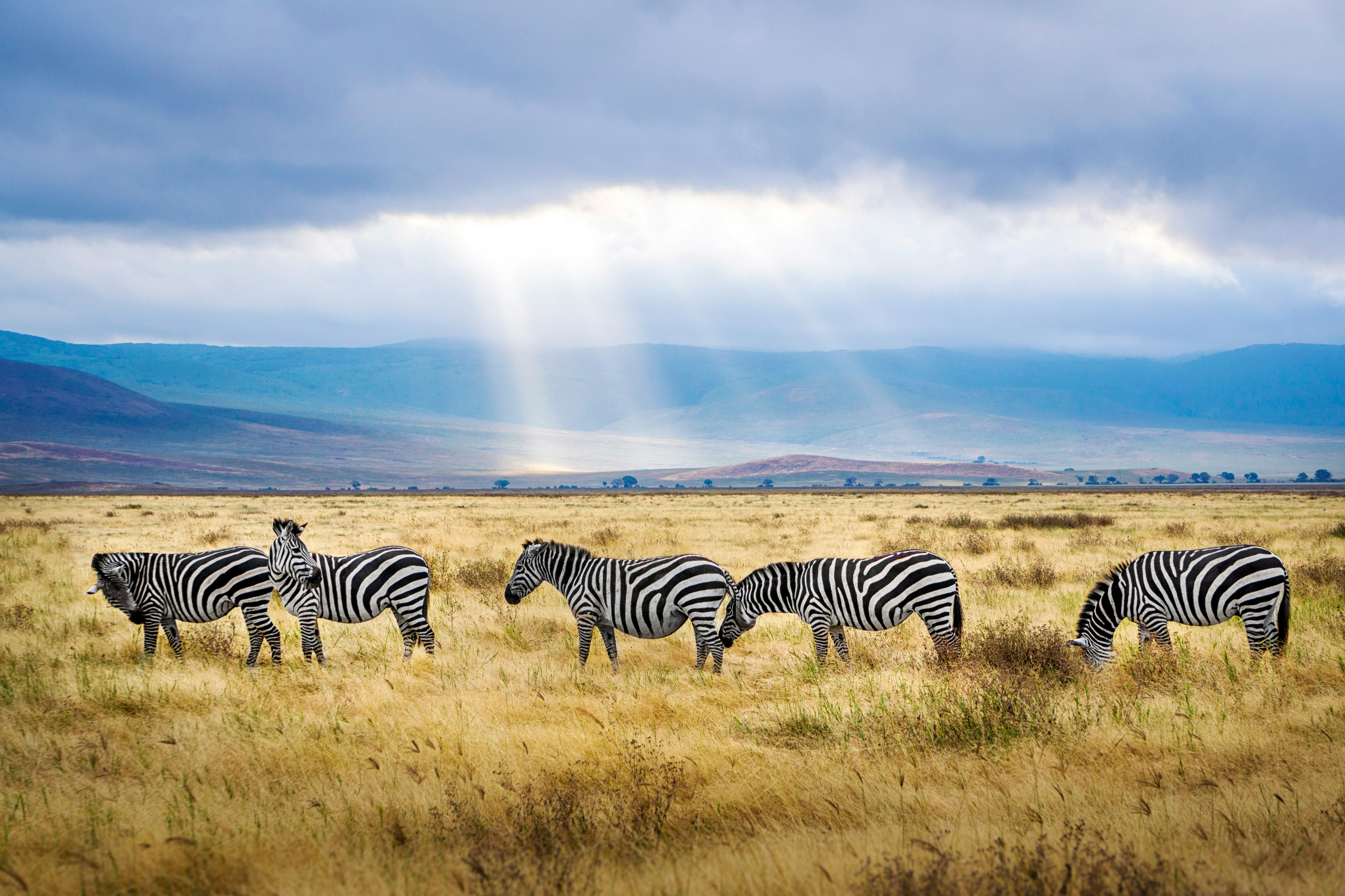 Ngorongoro National Park Safari
