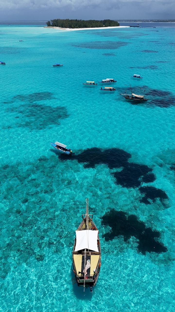 Private Snorkeling & Dolphins