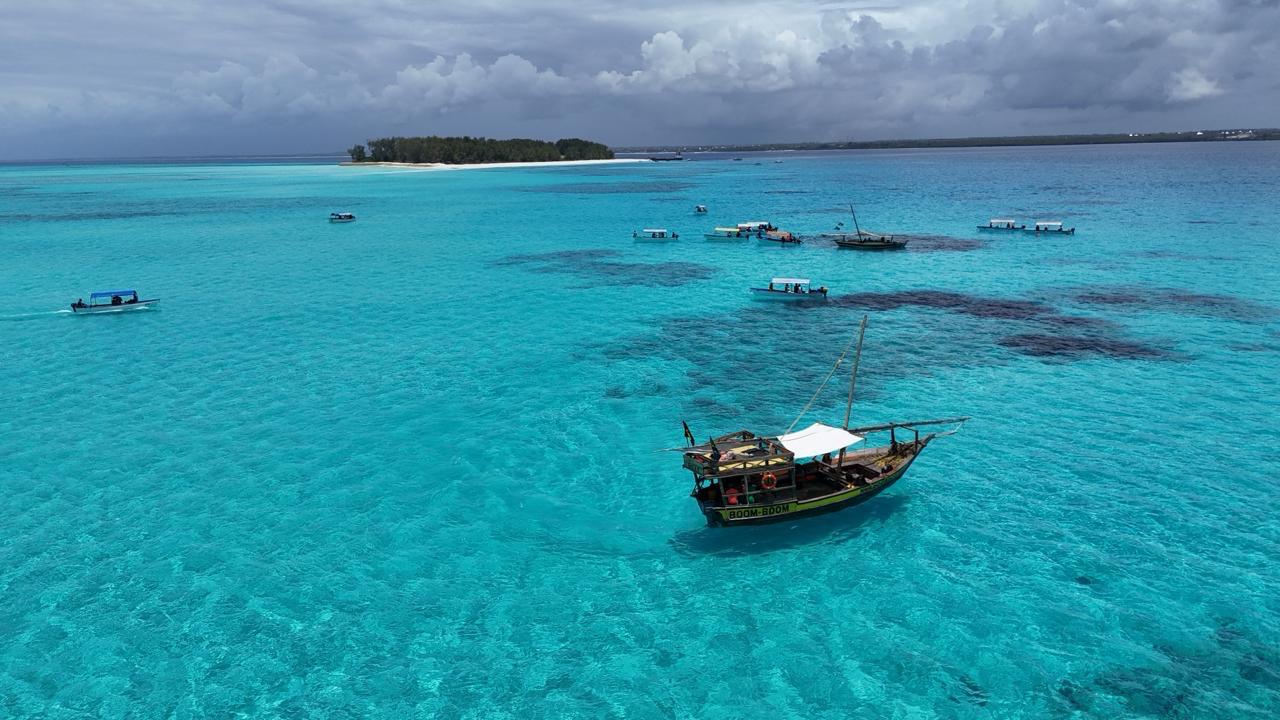 Private Snorkeling & Dolphins