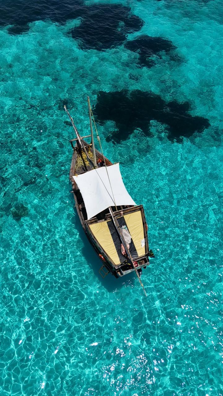 Private Snorkeling & Dolphins