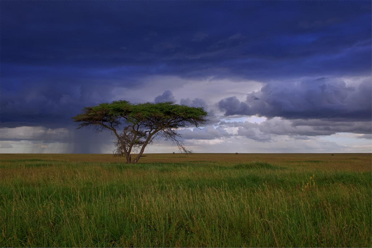 5-Day Tanzania Safari – Full Northern Circuit