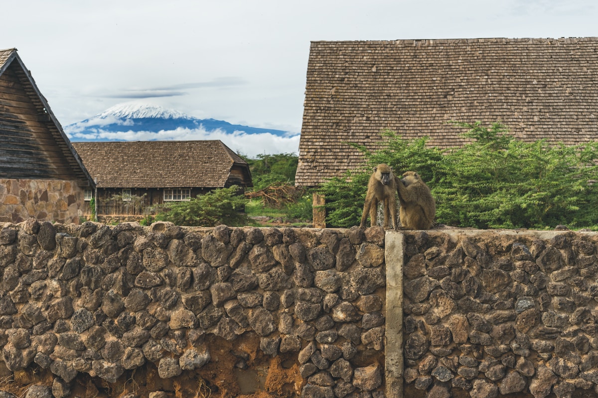 6-Day Tanzania Safari – Kilimanjaro & Northern Circuit